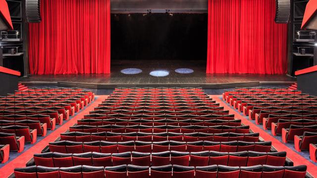 Auditorium Louis Lumiere - Cannes